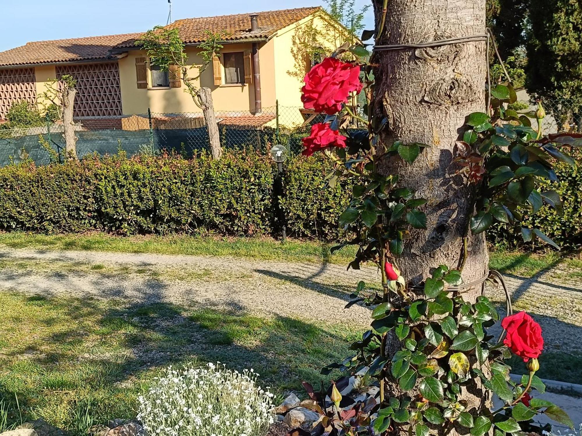 Casa Orneto Villa Poggibonsi Exterior foto